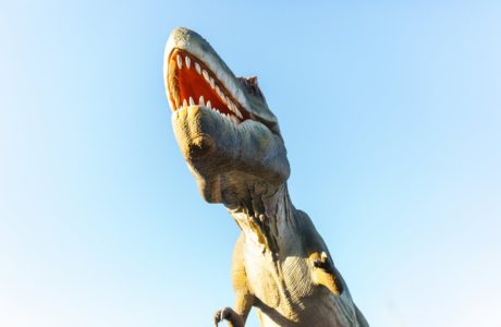 tirannosauro