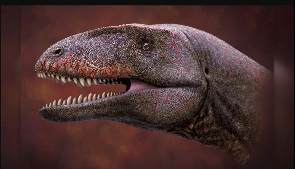 Scoperto un nuovo dinosauro carnivoro, era grosso cinque volte il