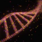 Un adulto su 8 ha un rischio genetico nascosto