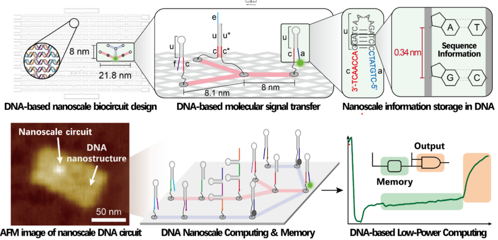 Realizzato un computer molecolare a DNA con transistor minori di 2 nanometri